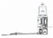 Ampul H3  Halojen 24V  70W  H3-  Pk22s  Daf Irısbus Iveco Man Mercedes-Benz Neoplan Renault Trucks S